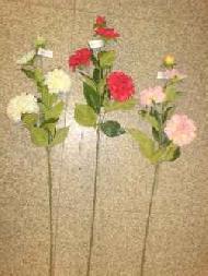 Coir Fiber