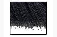 Coir Fiber