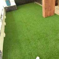 Coir Fiber