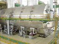 Coir Fiber