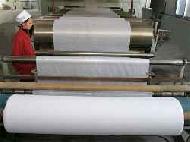 Coir Fiber