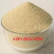 Coir Fiber
