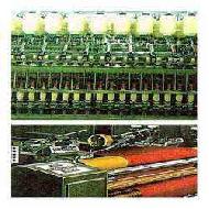 Coir Fiber