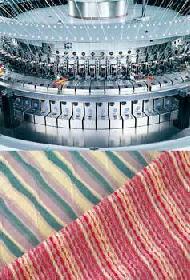 Coir Fiber