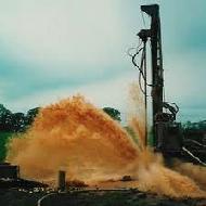 Coir Fiber