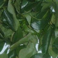 Coir Fiber