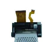 Coir Fiber