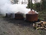Coir Fiber
