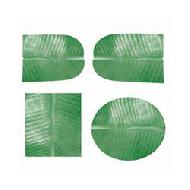 Coir Fiber