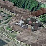 Coir Fiber