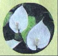 Coir Fiber