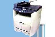 Coir Fiber