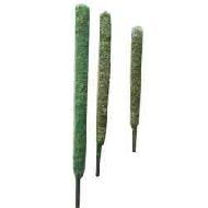 Coir Fiber