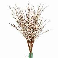 Coir Fiber