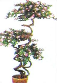 Coir Fiber