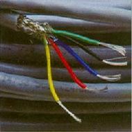 Coir Fiber