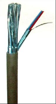 Coir Fiber