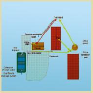 Coir Fiber