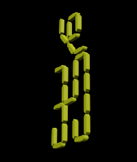Coir Fiber