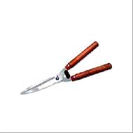 Coir Fiber