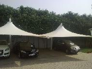 Coir Fiber