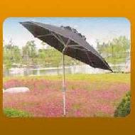 Coir Fiber