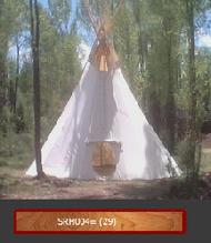 Coir Fiber