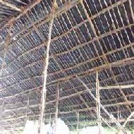 Coir Fiber