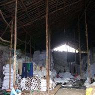 Coir Fiber
