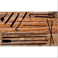 Coir Fiber