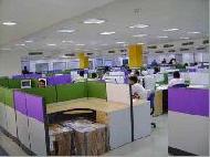 Coir Fiber