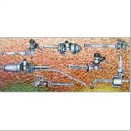 Coir Fiber