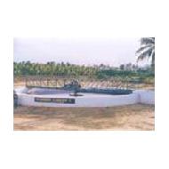 Coir Fiber