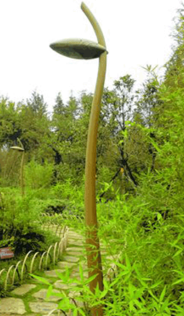 Coir Fiber