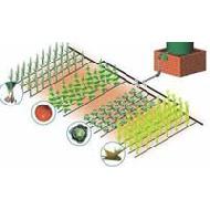 Coir Fiber