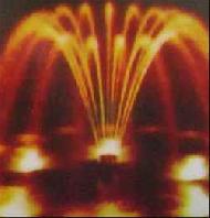 Coir Fiber