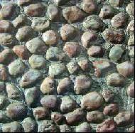 Coir Fiber