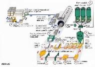 Coir Fiber