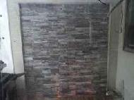 Coir Fiber