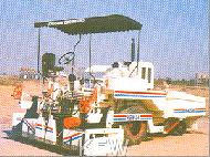 Coir Fiber
