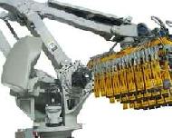 Coir Fiber
