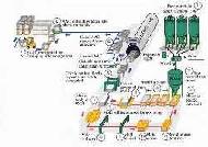 Coir Fiber