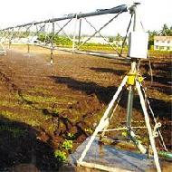 Coir Fiber