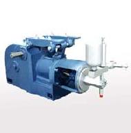 Coir Fiber