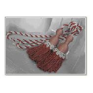 Coir Fiber