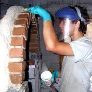 Coir Fiber