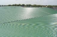 Coir Fiber