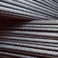 Coir Fiber