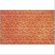 Coir Fiber