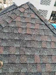 Coir Fiber